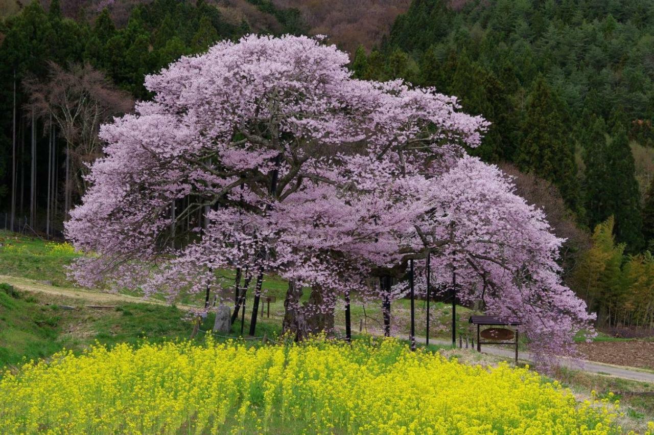 טאקאימה Ryokan Warabino מראה חיצוני תמונה